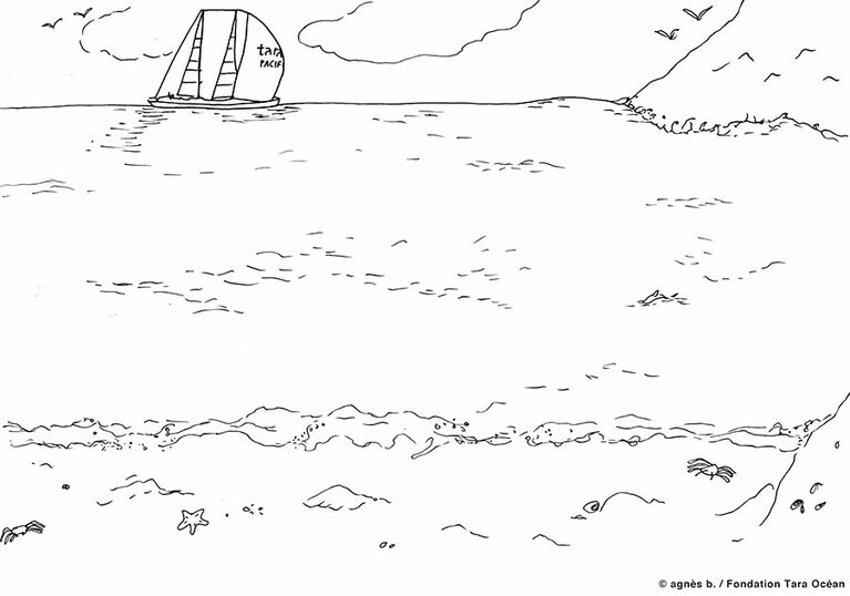 応募フォーマットのひとつ「タラ号とビーチ」。