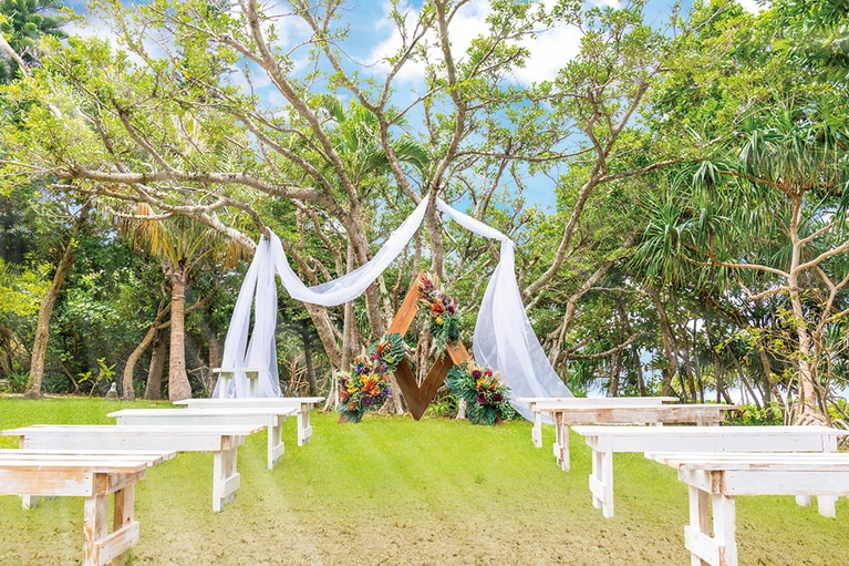 「美しい羽」を意味するアヤパニ ガーデン。