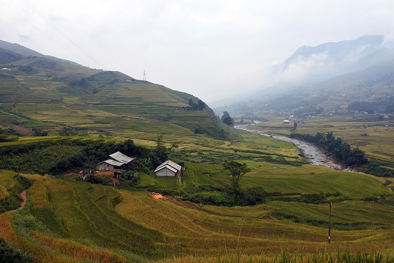 打ち寄せる波のような模様を描く棚田。