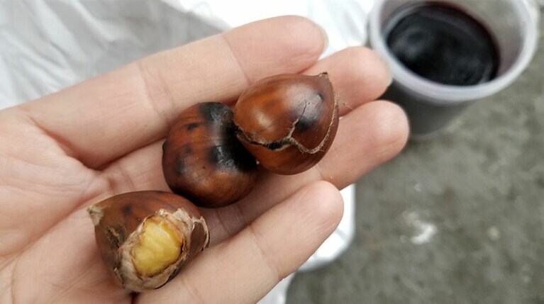 日本の栗より少し小ぶりなのが特徴。焼き栗とワインはセットで！