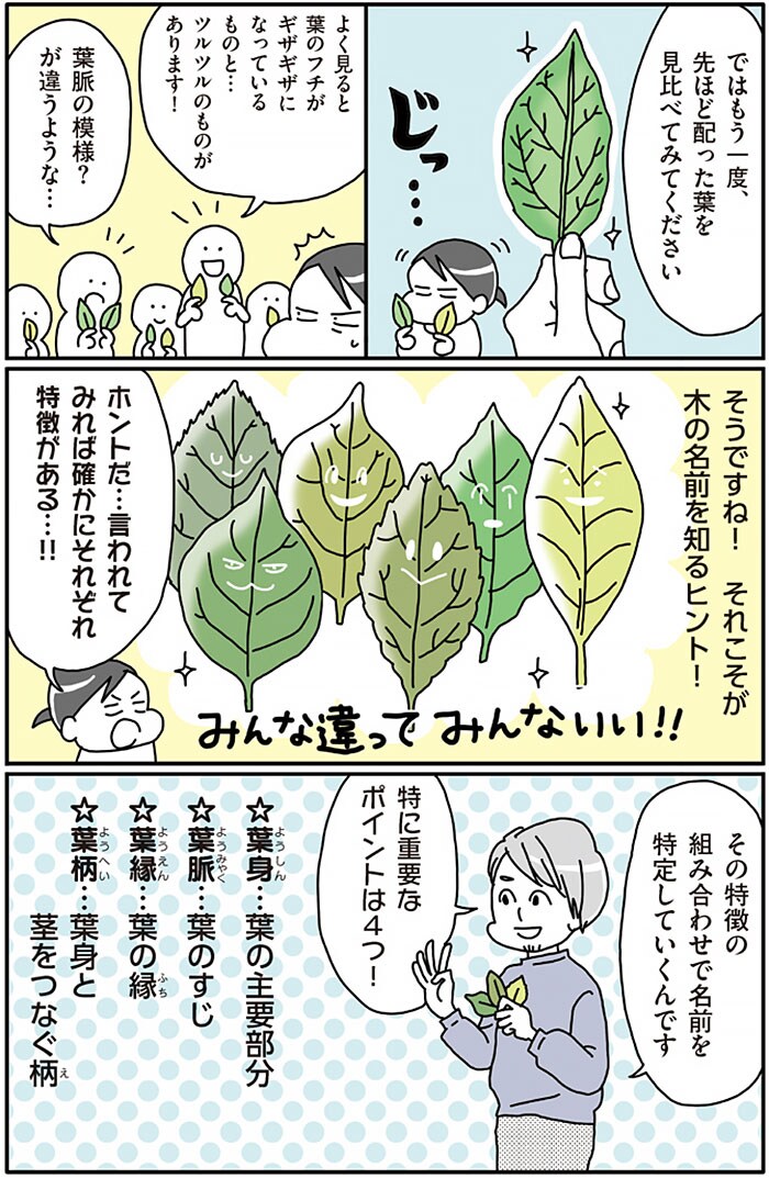 『まちなか植物観察のススメ』より。