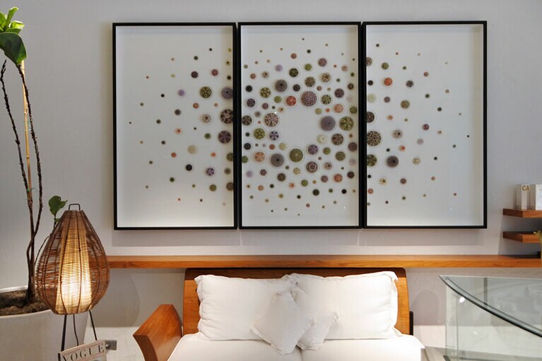 ビーチクリーンで拾い集めた、クリストファー・マレーのウニのアート。