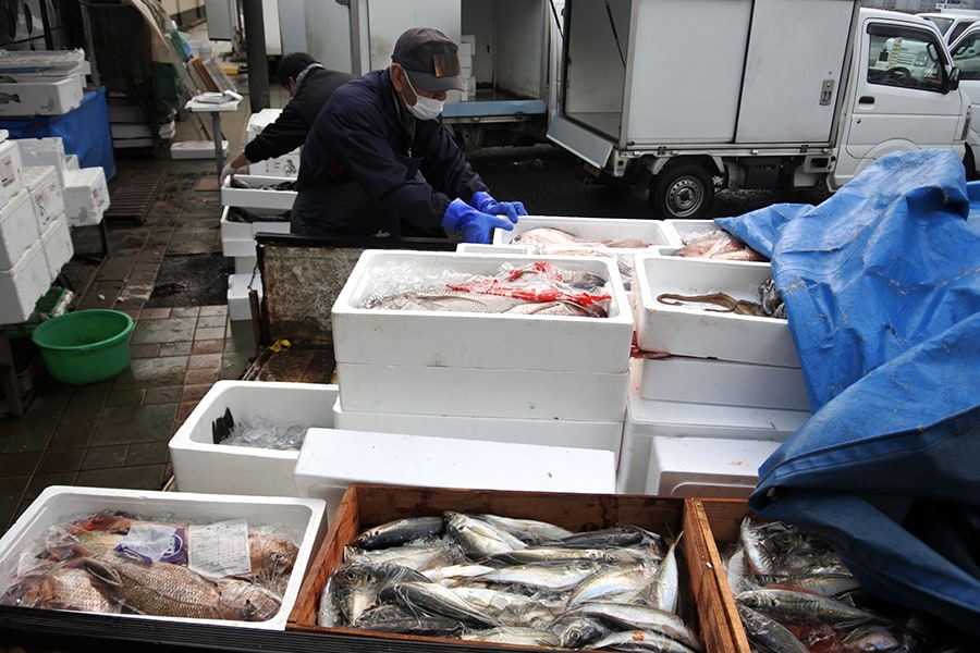 漁港から届いた魚を店頭に並べる準備をしている朝市の裏方さん。
