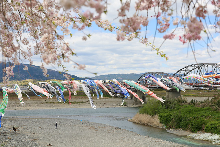 【2024年版】いつか行きたい! 日本の春の絶景~近畿篇~ 全70スポットを紹介! | 今こそ行きたい! 「日本にしかない風景」再発見 ...
