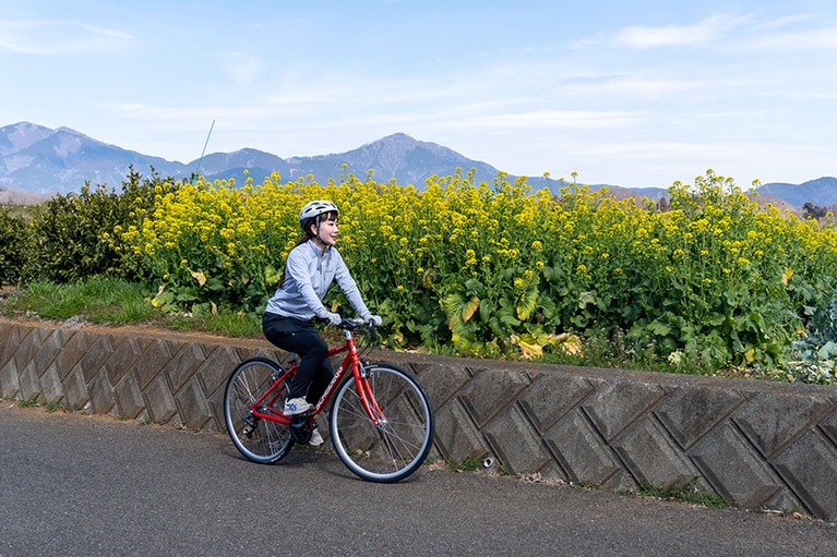 しばらく自転車を走らせていると周囲には菜の花畑が。