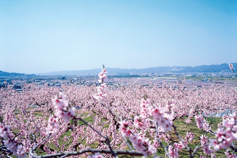 桃源郷／和歌山県