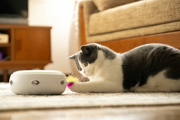 低速・中速・高速の3つのモードがあり、どれもスタートから約8分後に自動的にストップしてくれる。