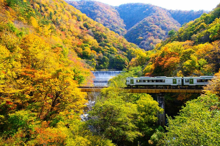 大峠ダムの紅葉。