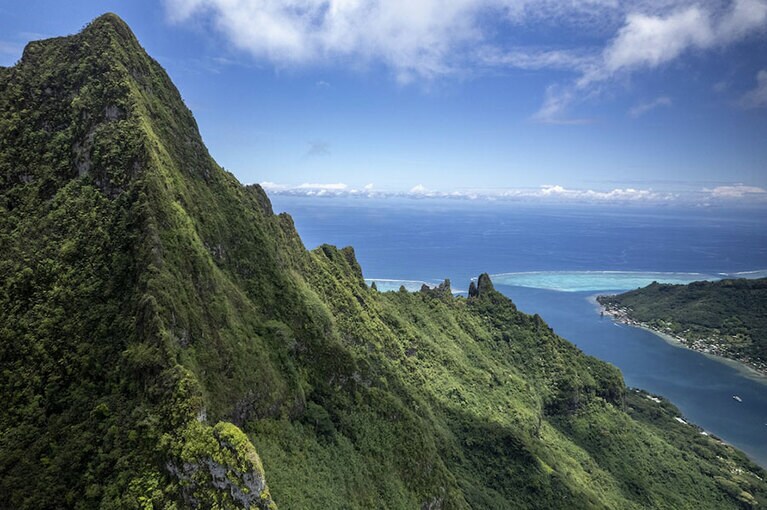 コーラル・ガーデナーズの本社があるモーレア島のクックス湾。©️Rolex