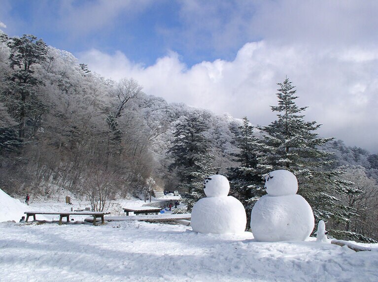 剣山スーパー林道の樹氷。