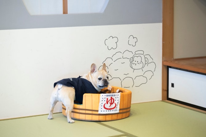 おもちゃを選ぶのに夢中なぼん。風呂桶セットの中には、お猿のぬいぐるみが。