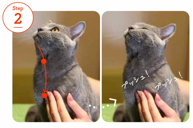 『ねこほぐし　猫を整えるマッサージ＆ストレッチ』より。あごのマッサージ。