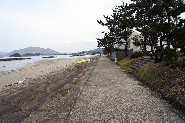 階段状に整備された、えびす浜パーク海水浴場。砂でじゃりじゃりにならずに遊べると、小さな子連れに人気だとか。