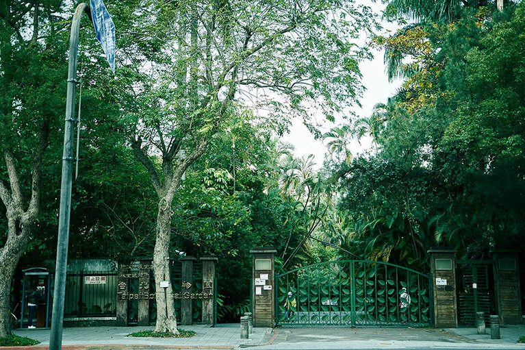 熱帯雨林がこんもりと生い茂り、木陰が多い。