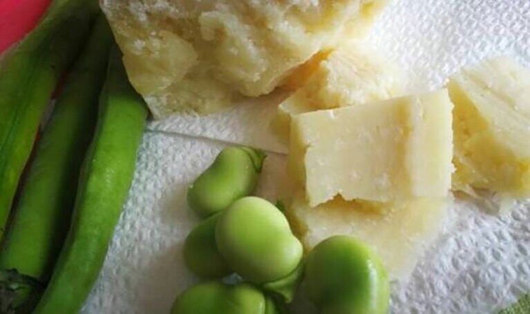 日本のよりも少し小ぶりなそら豆。ペコリーノ・ロマーノチーズとの相性が素晴らしいのです。