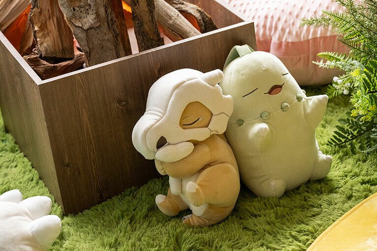 カラカラとチコリータ。