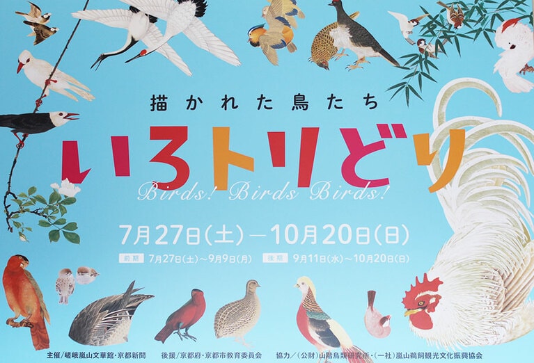 かわいい鳥たちが大集合。“色とりどり”と“鳥”を掛けたタイトルが楽しい。