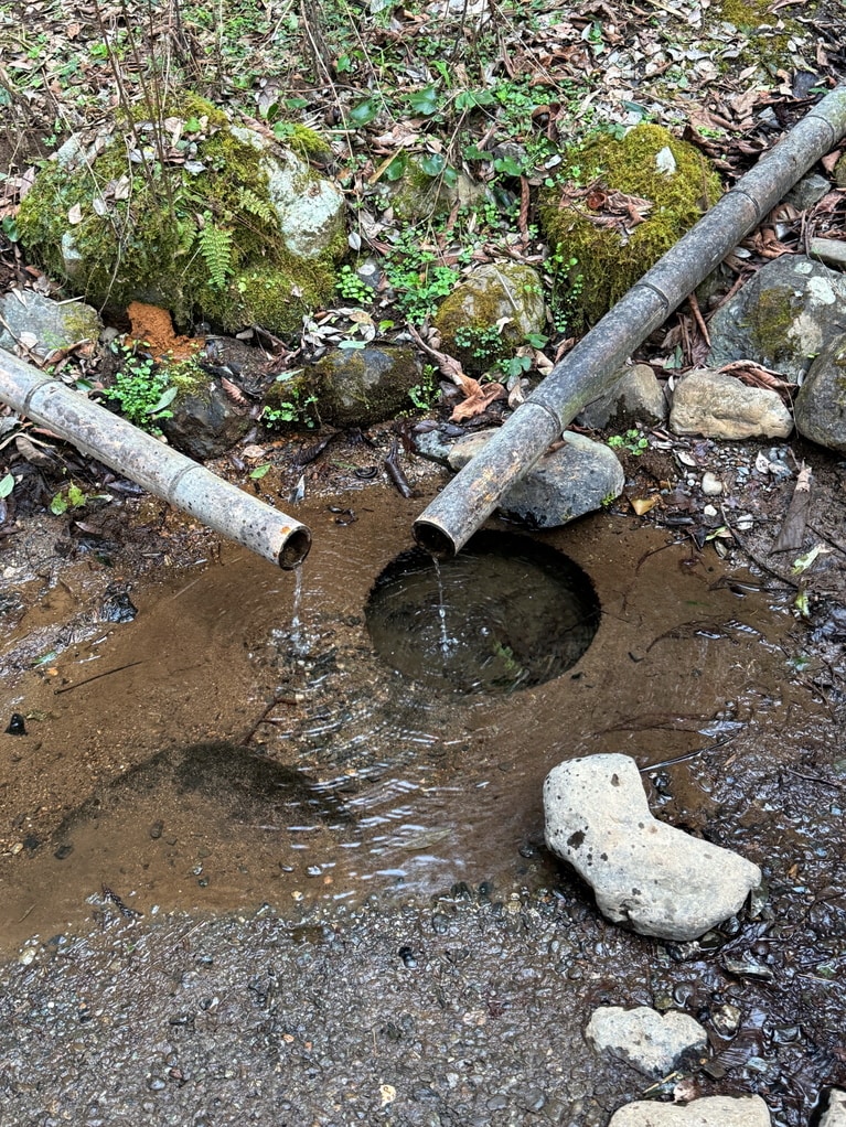 東水神宮の御神水。この水で手を清めよう。