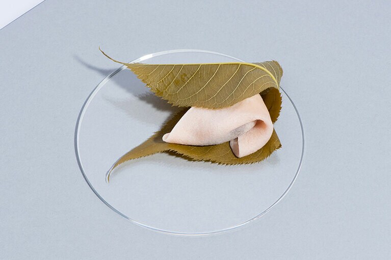 「秋色さくら餅」270円。