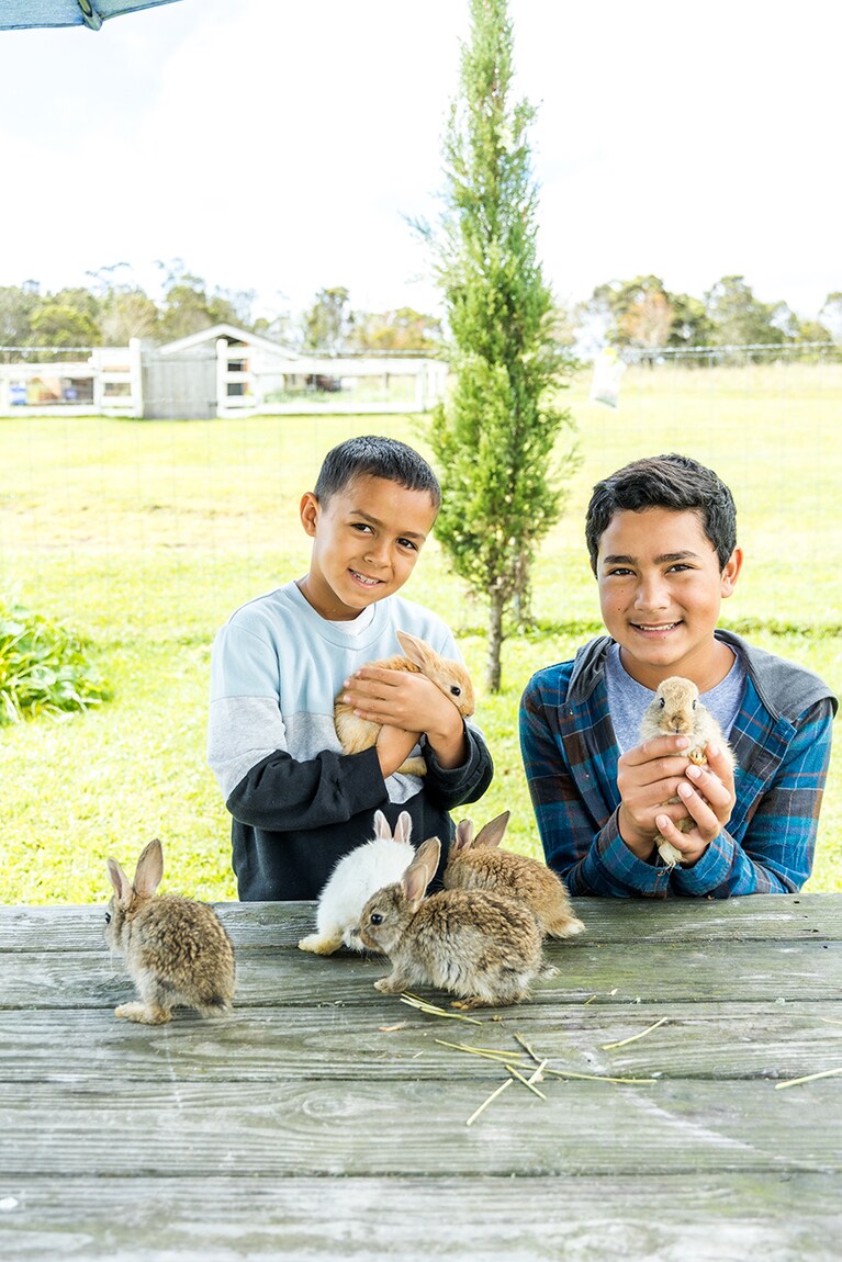 可愛いうさぎたち。