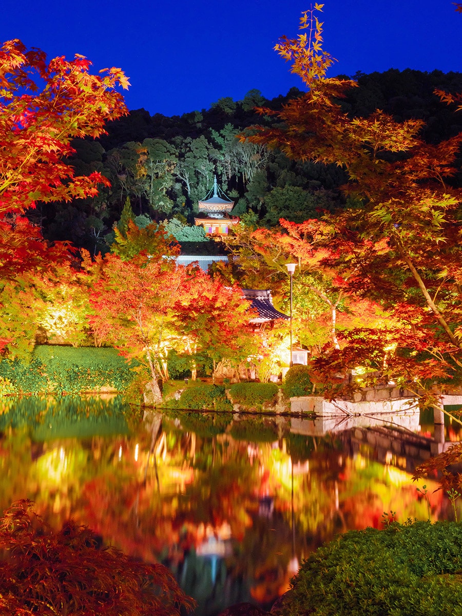 秋の紅葉と多宝塔の姿を映す放生池。