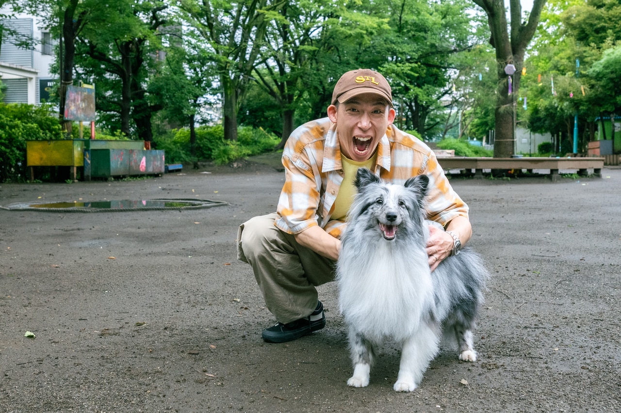 どんぐりたけしさんと、ぽぬのせき。
