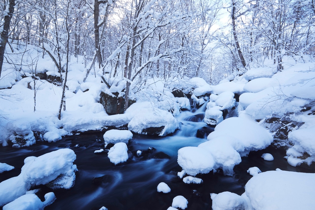 しんしんと降り積もる雪の静謐な美しさと、せせらぎを響かせ飛沫を上げながら流れる渓流のコントラストが美しい奥入瀬渓流の冬景色。