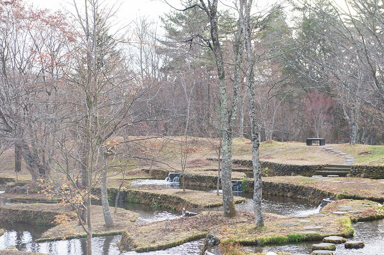 野鳥の声が響き渡る棚田のような庭。日本の原風景を見ているような気分になる。