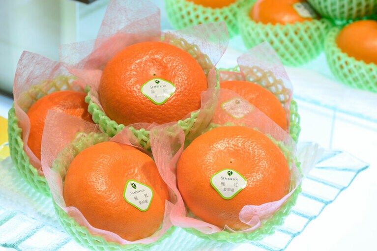 「せとか」の姉妹品種「麗紅」。