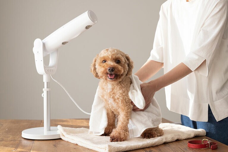 三ツ谷電機「ペティオン・スリム」22,000円。