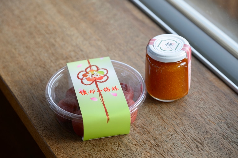 《早春の絶景散歩》紅白の梅の先には瀬戸内海、園内には古墳も！西日本随一の梅の名所「綾部山梅林」へ【兵庫県】