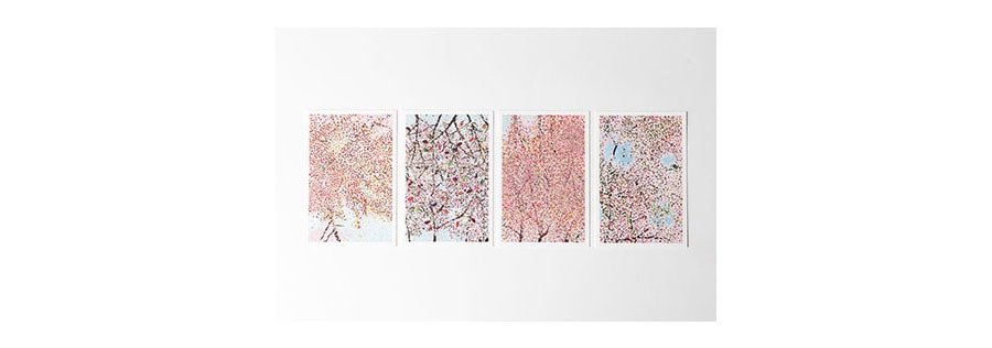 「ダミアン・ハースト　桜」展　ポストカード　Photographed by Shuzo Hosoya           