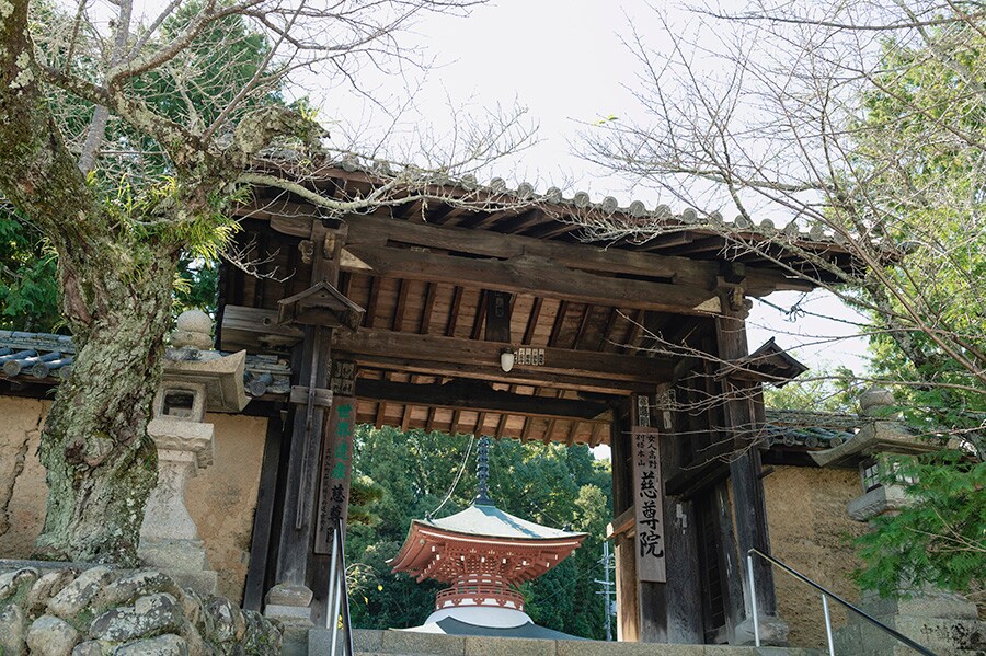 慈尊院の表門の奥には、県指定の重要文化財「多宝塔」が見えます。