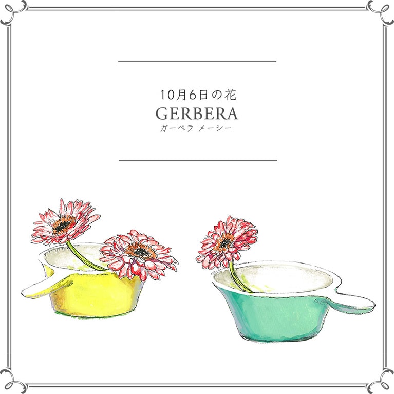 10月6日の花「ガーベラ メーシー」