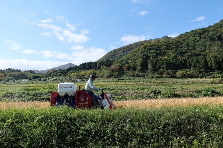 両津港から車で30分ほどの距離にある歌見地区。佐渡屈指の傾斜地にある棚田。