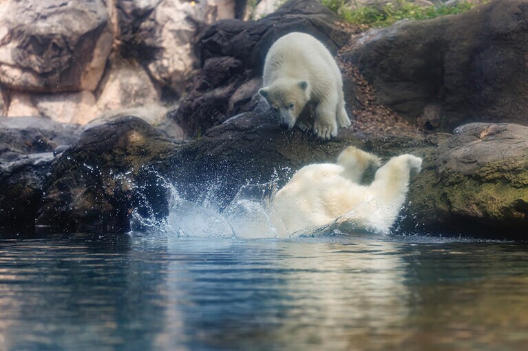 イッちゃんとライ。