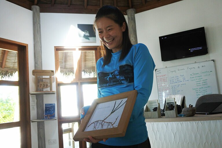 海の話やサンゴを顕微鏡で覗くなど、誰もが楽しめる「ギリ・ベシーマリン・バイオロジー・シャック」。