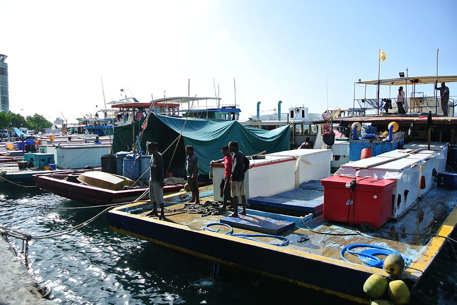 水揚げしやすいよう、魚市場は港に面しています。