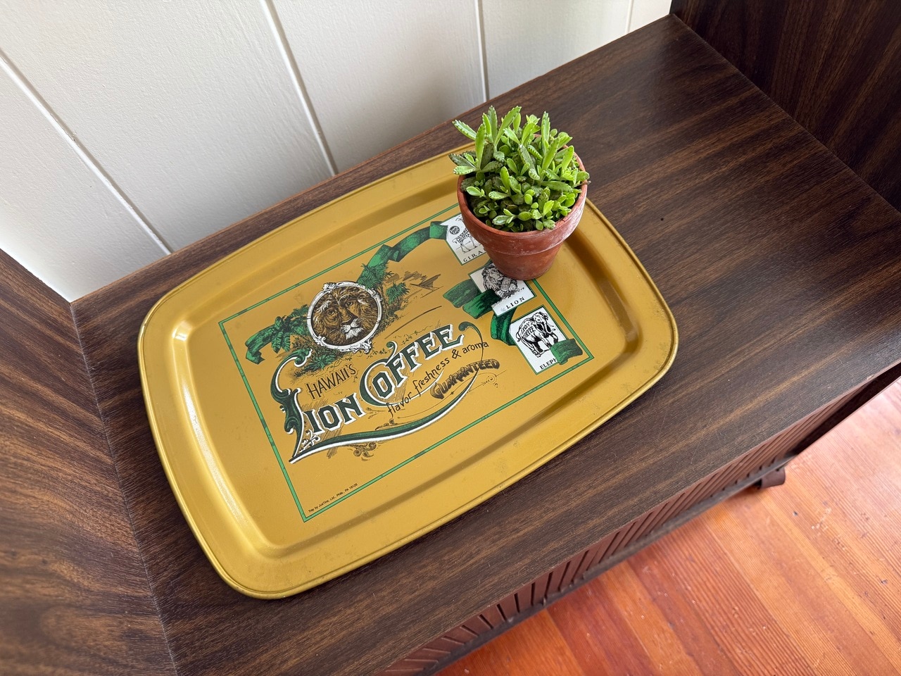 ゴールドがお気に入りのトレイは、この先もずっと大切にしないと。