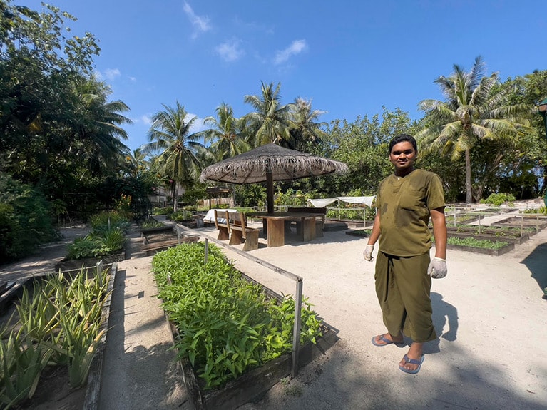 赤道直下の強烈な日差しを浴びてすくすくと育つオーガニック野菜たち。ガーデンチーフのカラムさんが畑を耕していた。