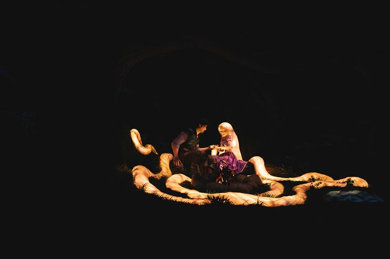 フリン・ライダーのケガを治すラプンツェル