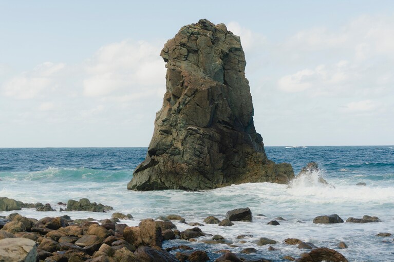 歌人・上坂あゆ美と巡る、のびのびとして、自然な“佐渡島の美”