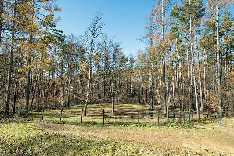 ドッグフリーサイト。