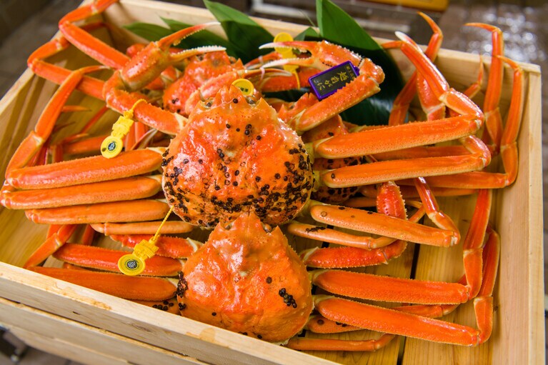 越前がにの漁期は11月6日から翌年3月20日まで。漁の解禁が今から待ち遠しい。