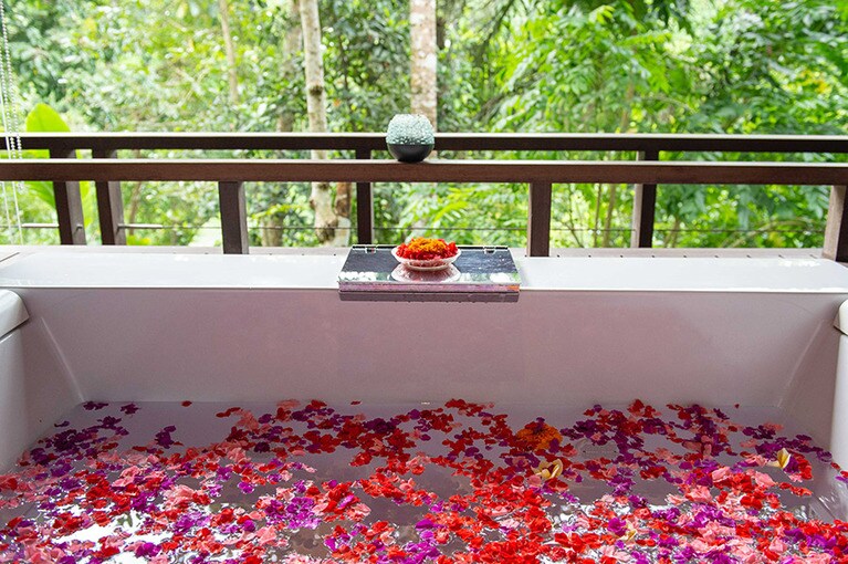 ジャングルを独り占めするフラワーバスに感動！