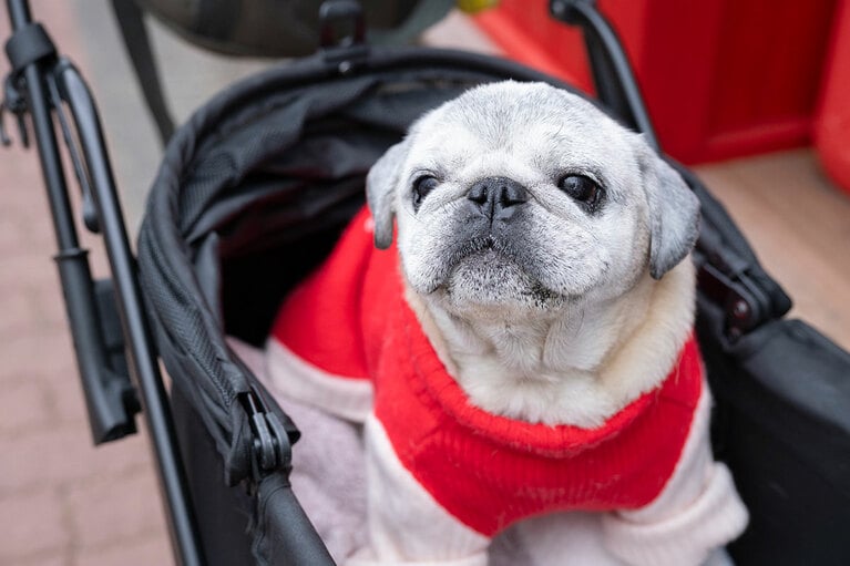 アザーカット。