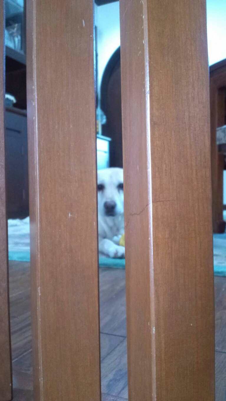 「スキマから見てきます。」(福徳さん)