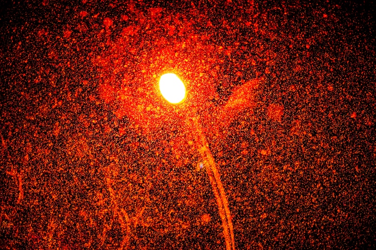 写真はイメージです。写真：Yuto.photographer/イメージマート