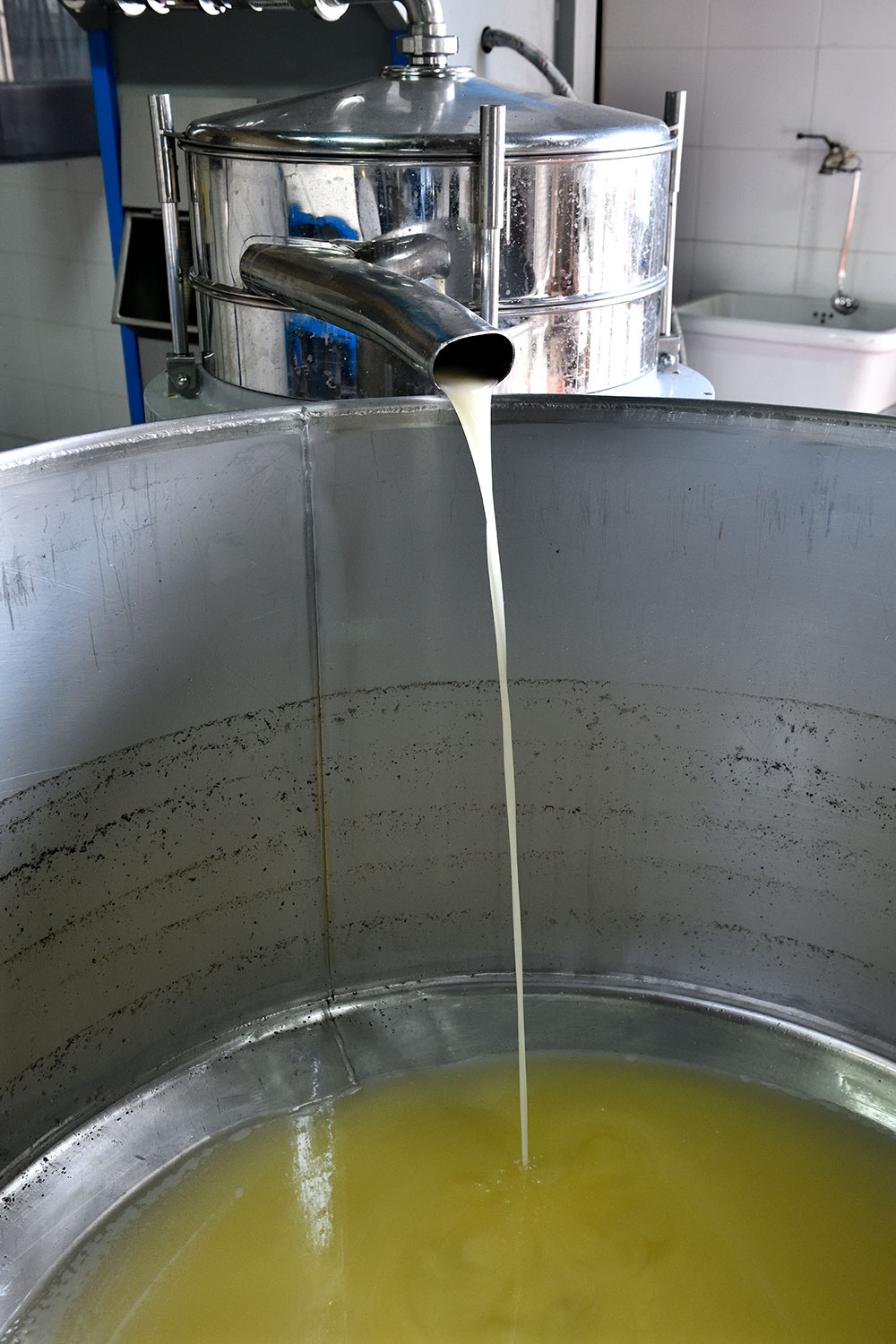 オリーブの実にゆっくり圧をかけてオイルを搾り出す。
