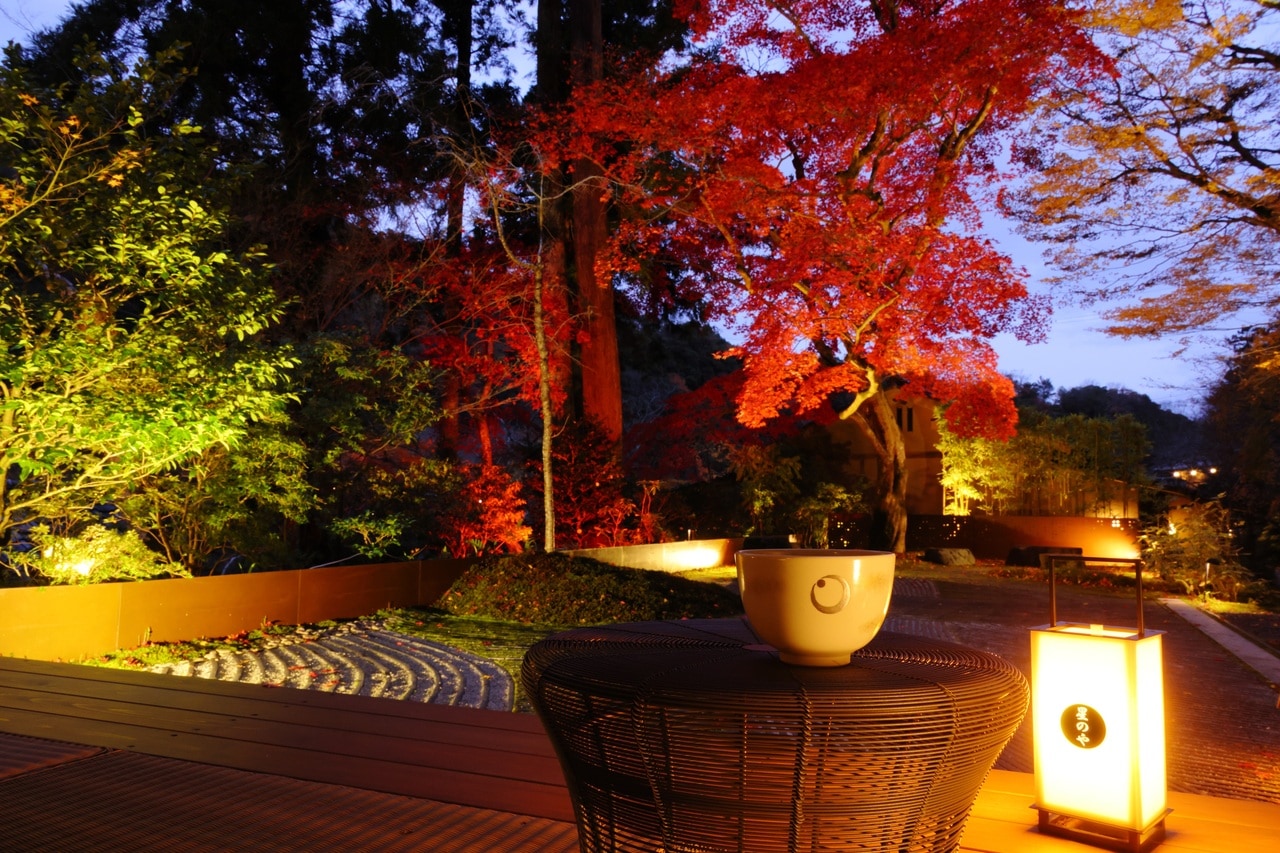 夕刻から夜にかけて、ライトアップされたオオモミジと枯山水の庭は、刻々と表情を変える。この眺めとともに、秋の味覚を味わう。